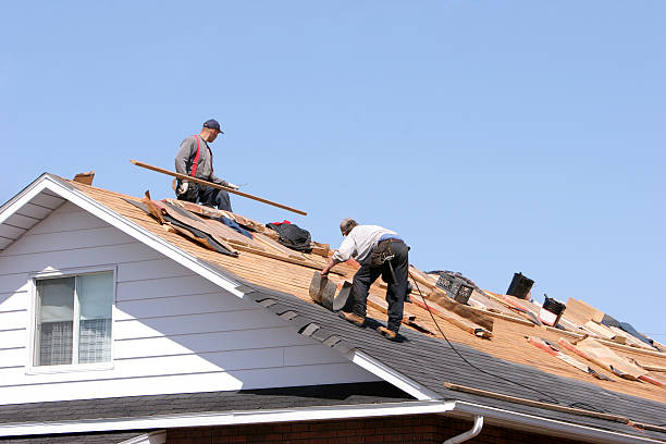 Best Asphalt Shingle Roofing  in Kane, PA