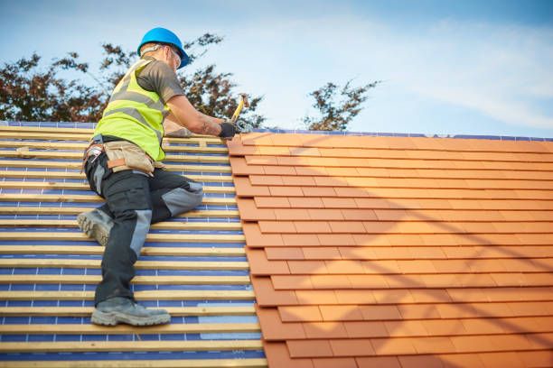 Best Skylight Installation and Repair  in Kane, PA